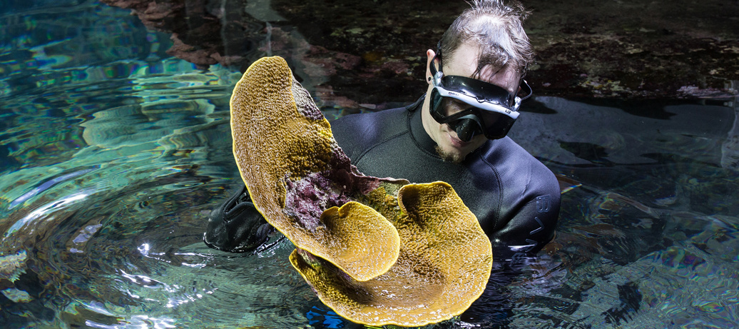 Masterclass Conservation Biology in dierentuinen