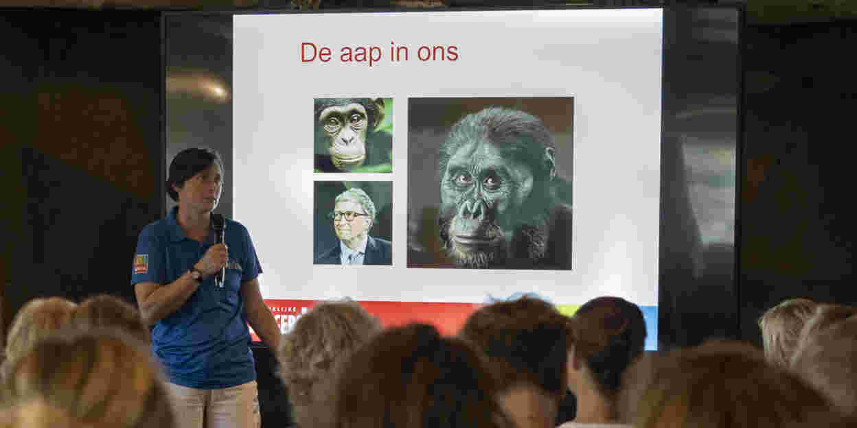 Online lezingen 