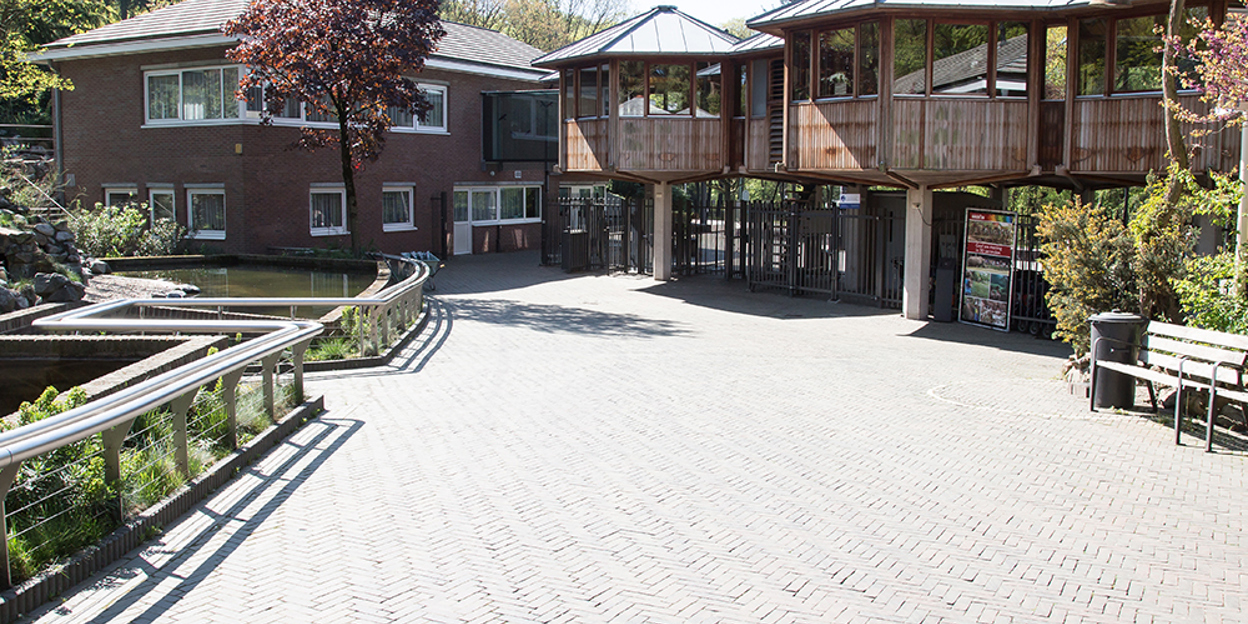 Eenzame wandeling door de dichte dierentuin