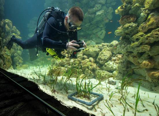 Grootste zeegrasaquarium ter wereld!