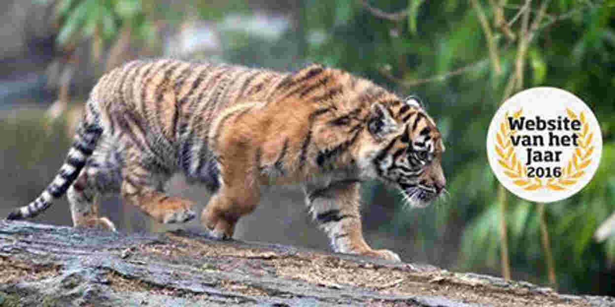 Stem op Burgers' Zoo als 'Website van het Jaar 2016'