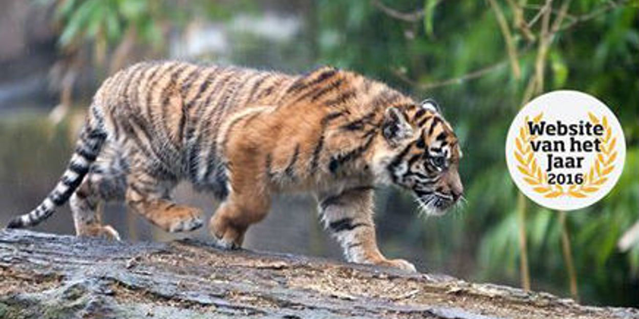 Stem op Burgers' Zoo als 'Website van het Jaar 2016'