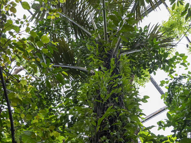 Bijzondere aanpassing aan de leefomgeving