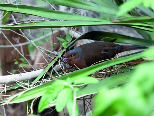 7c00e59b-9e84-4a5b-95f8-ff14b18750fb