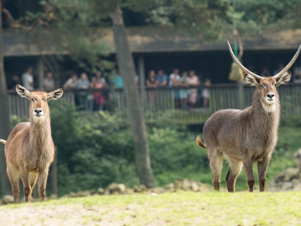 Eén met de natuur
