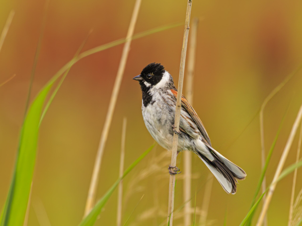 b37ef8ad-ffdd-4cb4-b75f-31babe0cdb94