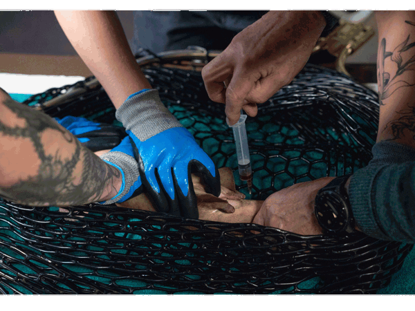 407070eb-97d8-4aab-bbc3-5f6e90dc03ab