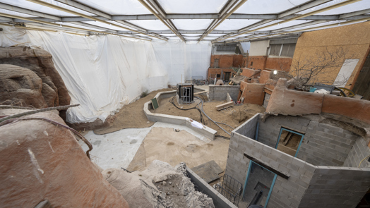 Desert-update 3: padden in de huiskamer?