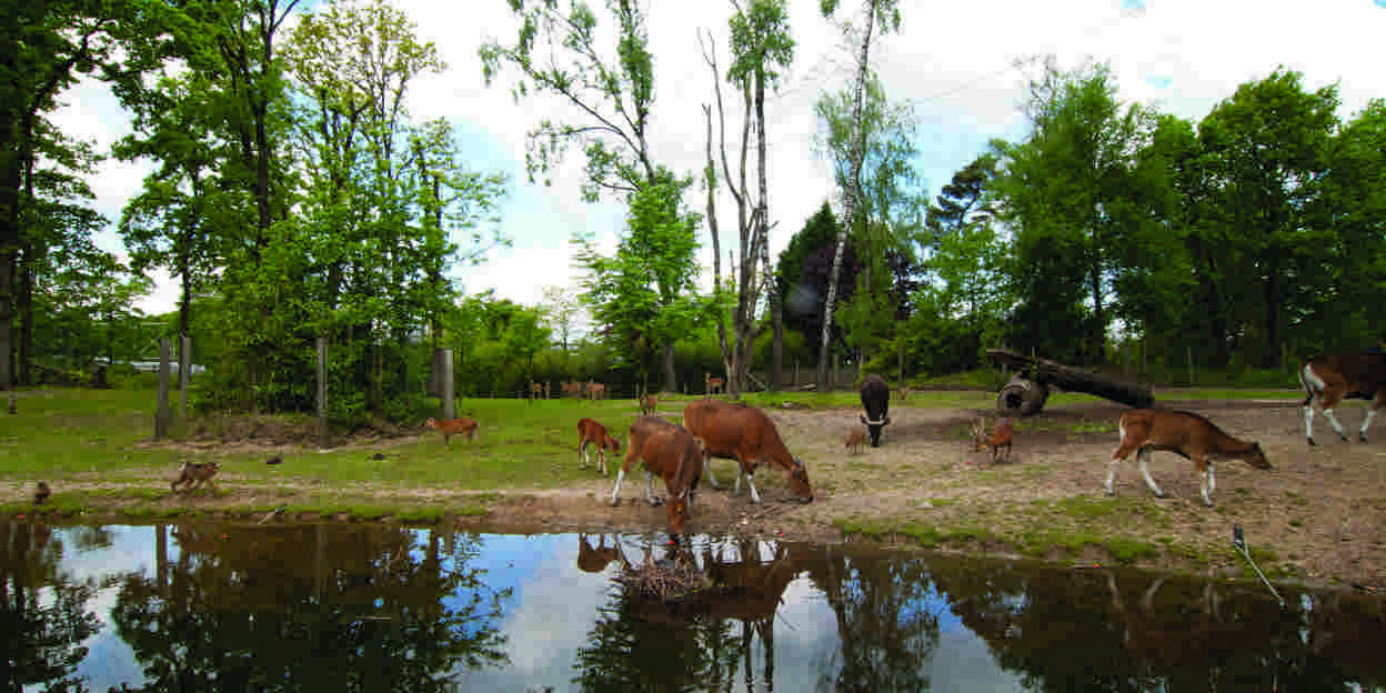 Woongemeenschappen in Burgers’ Zoo