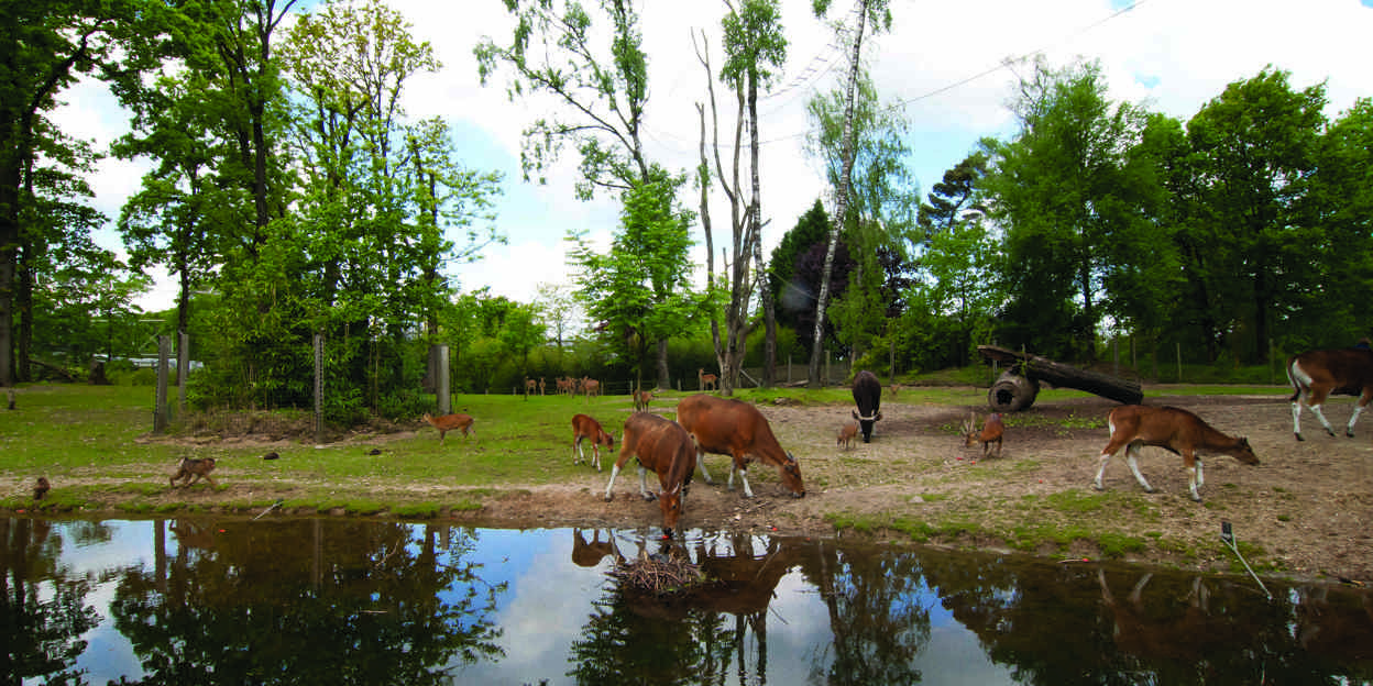 Woongemeenschappen in Burgers’ Zoo