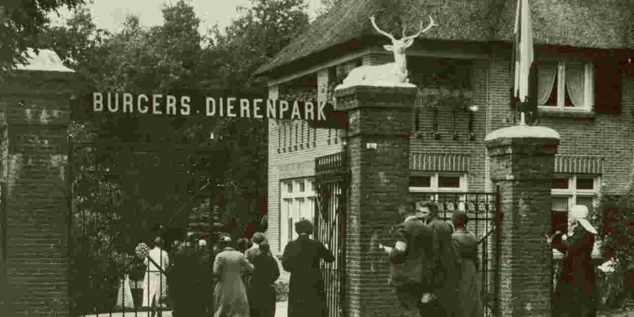 Een kijkje naar verleden en toekomst: Burgers’ Zoo als familiebedrijf