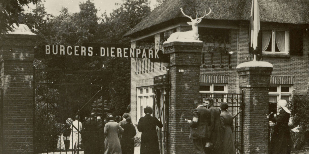 Een kijkje naar verleden en toekomst: Burgers’ Zoo als familiebedrijf
