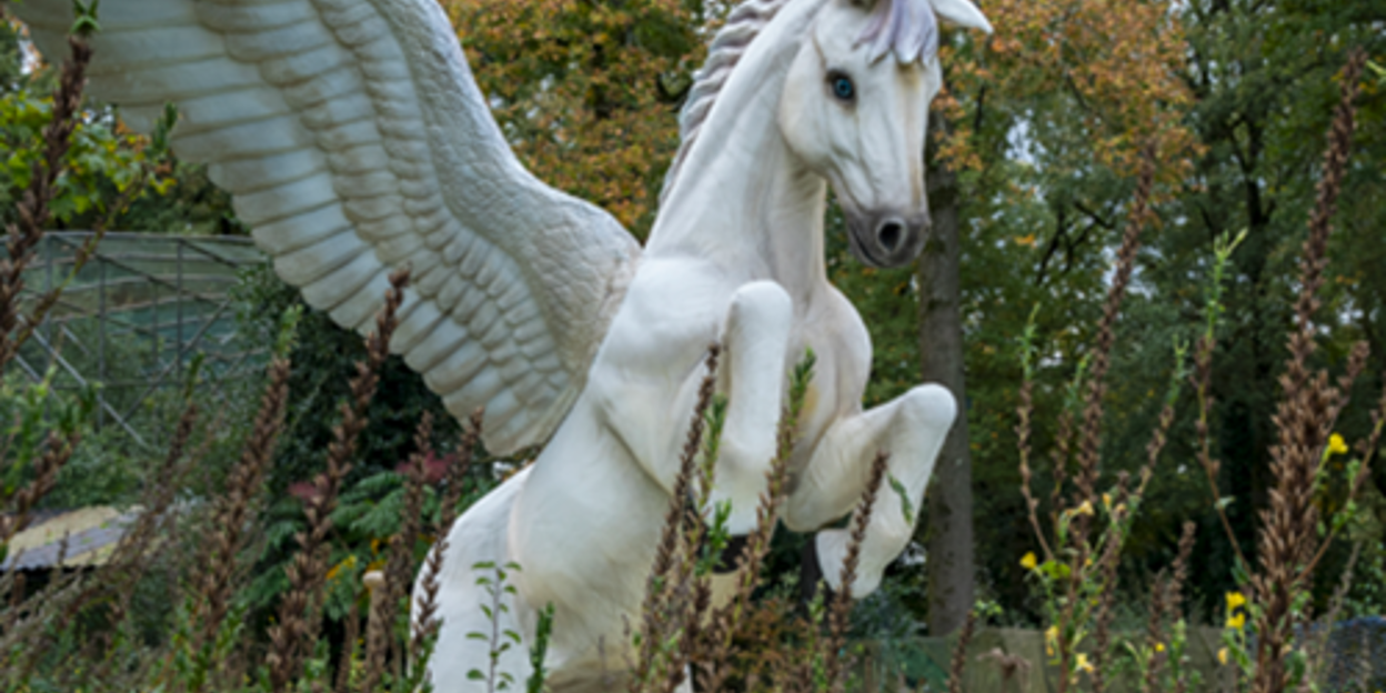 Pegasus