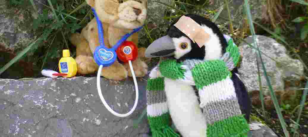 Kleuterprogramma sept ‘22:     Knuffeldier-spreekuur bij de dierenarts