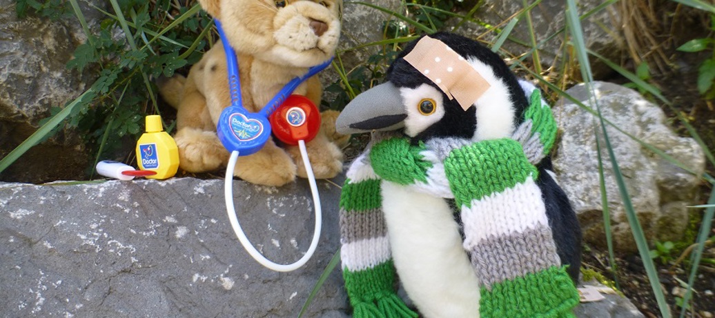 Kleuterprogramma sept ‘22:     Knuffeldier-spreekuur bij de dierenarts