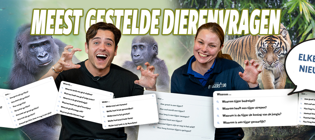 Meest gestelde dierenvragen