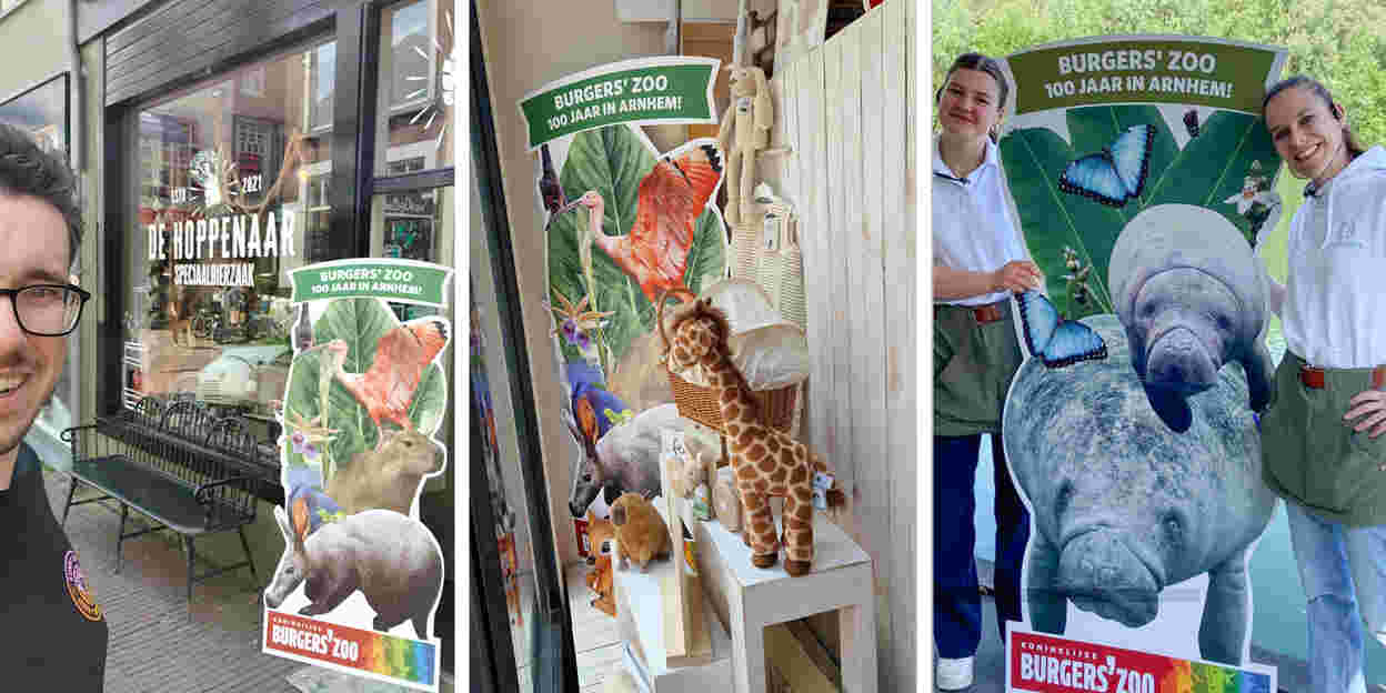 Arnhemse binnenstad ‘kleurt’ Burgers’ Zoo