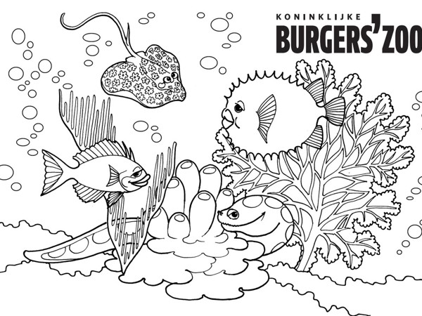 13513a1d-4e3b-40ba-91d6-7d6e28529825