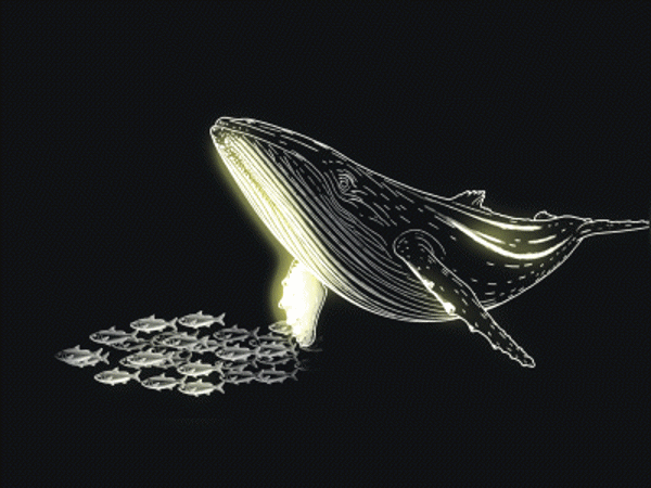 968d9889-f67f-4ebf-9696-fdfaa2534f81