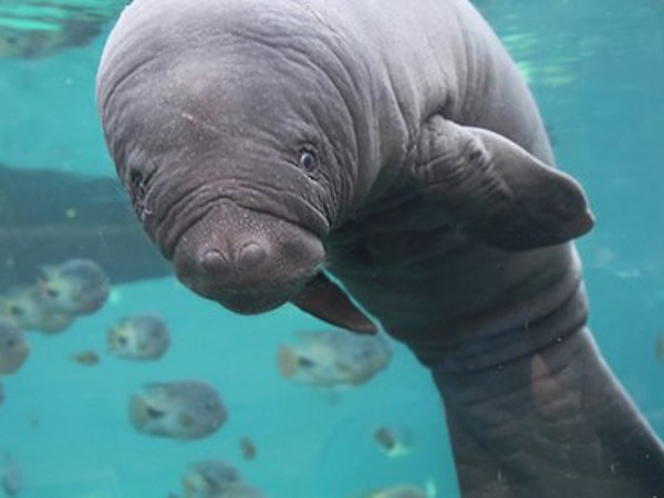 007cf20c-569c-4bd9-a968-7fda72414d0d