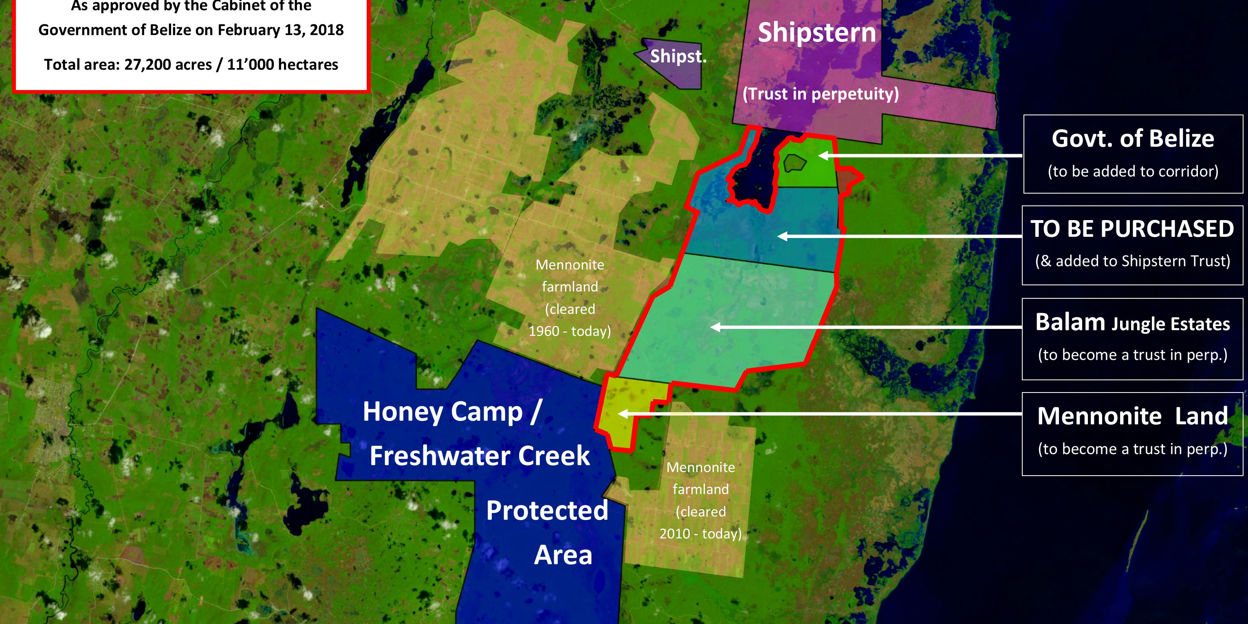 Ons natuurgebied in Belize wordt uitgebreid!