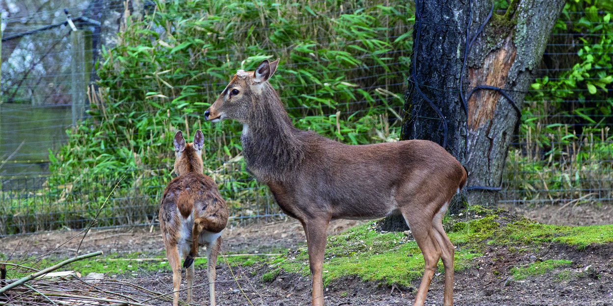 Kort dieren- en parknieuws 1