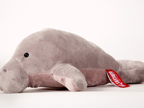 b53f84a0-664d-45b8-b745-8555e8583cfd