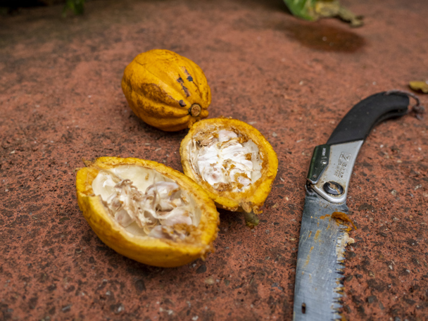 Gebruik door de mens 