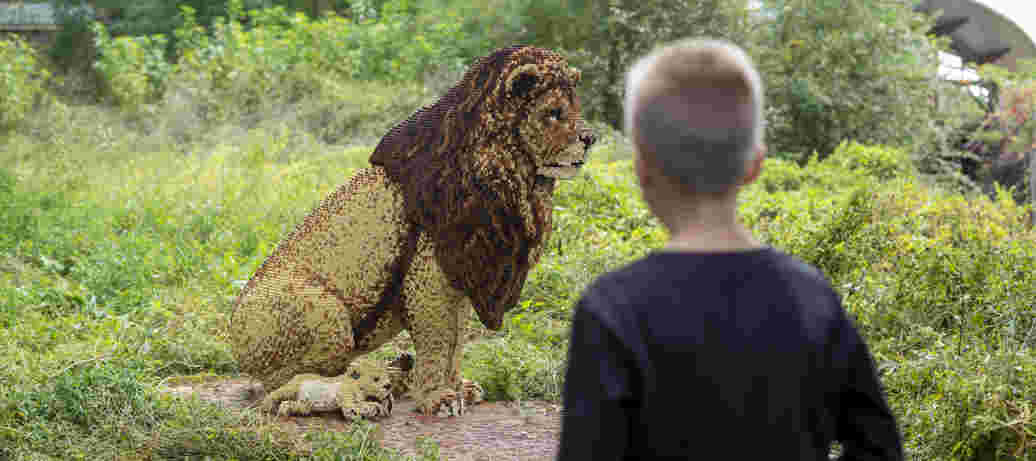 Safari Bricks in de zoo
