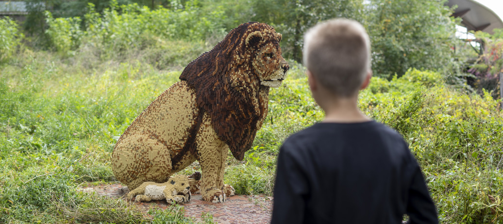 Safari Bricks in de zoo