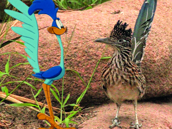c0bb9c85-7893-4113-b3b8-4d1a5777fab1