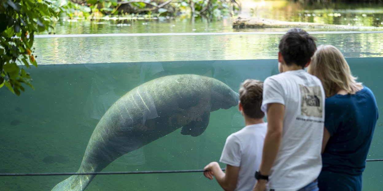 Burgers' Zoo trots op twee Michelinsterren 