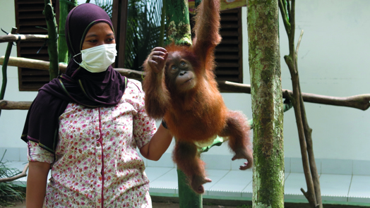 Nieuws over projecten in het veld