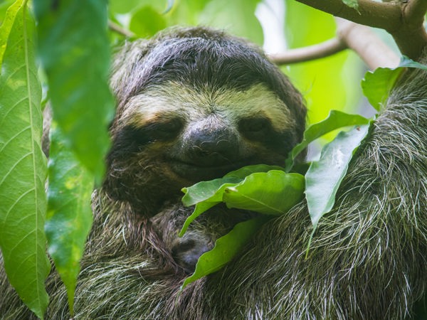 547d45c7-7e6b-4724-9011-47bb8f483b3a