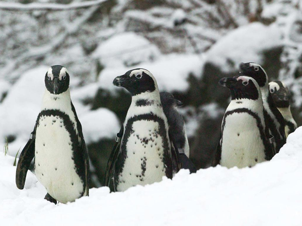 0cf2efba-ec5d-4de3-b867-5cfbbea650fd