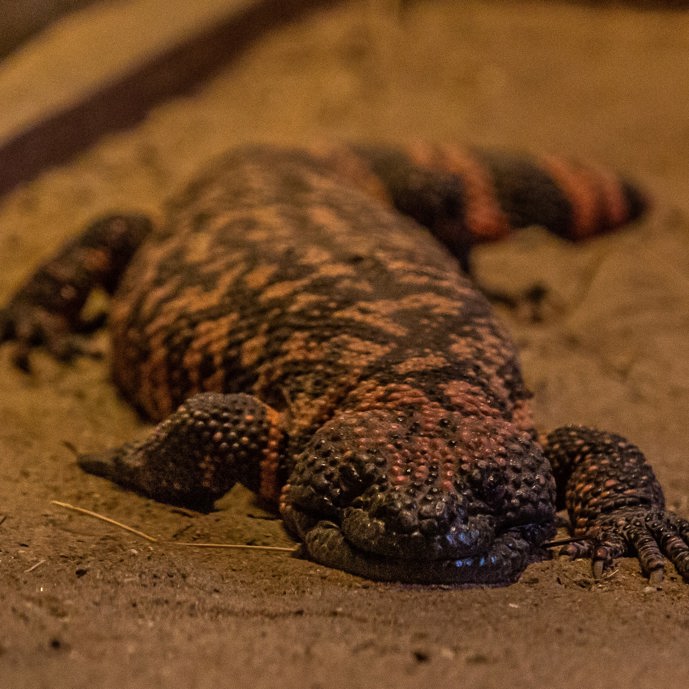 Lang gewacht en stil gezwegen...