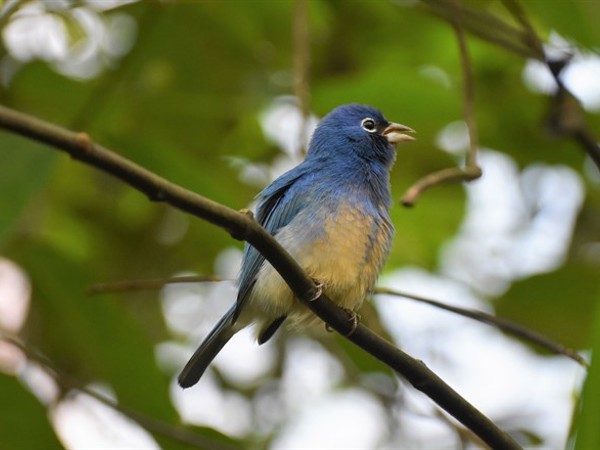 c244701c-e7df-4099-9e47-828042db3f74