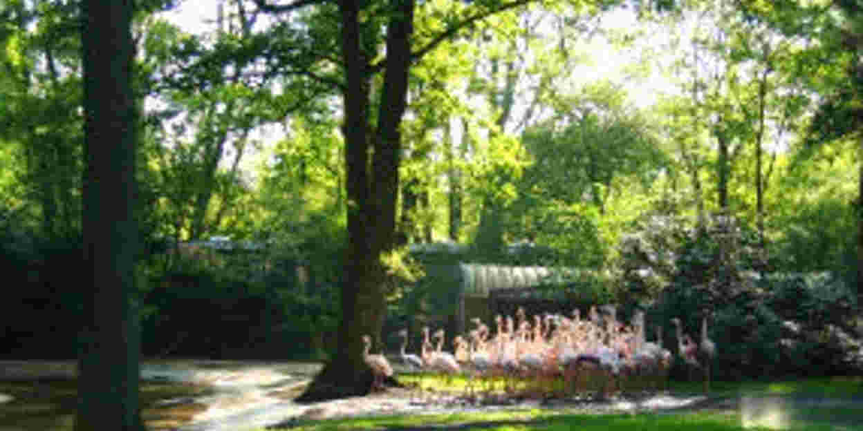 Burgers' Zoo beschermt 23.500 hectare natuur