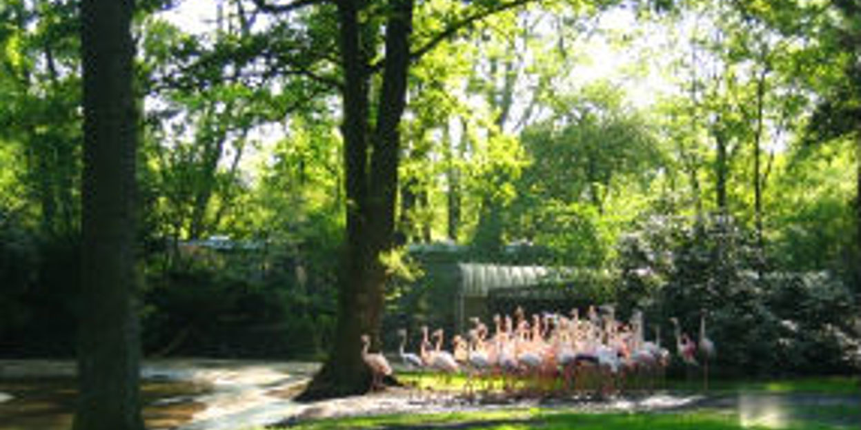 Burgers' Zoo beschermt 23.500 hectare natuur