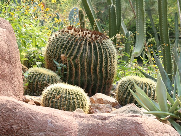 Eén met de natuur