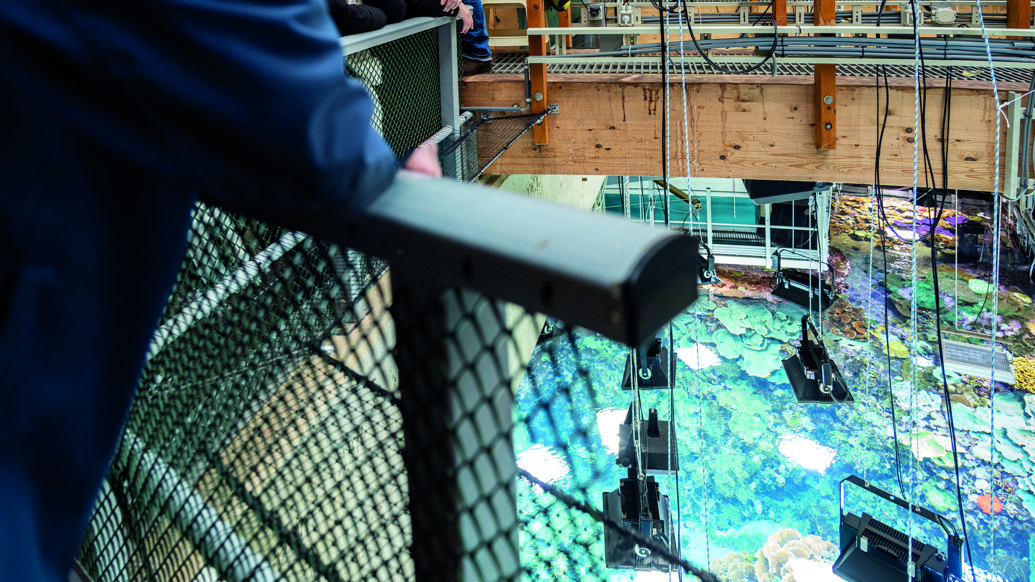 Rondleidingen op de werkvloer van de Ocean zijn zeer populair en gaan ook in 2024 weer plaatsvinden.