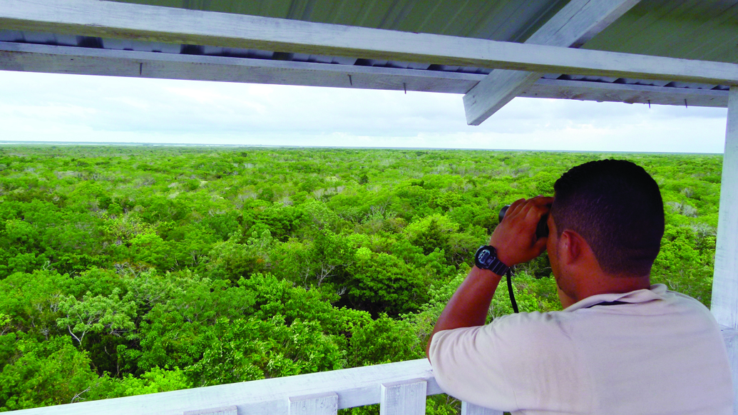 Belize-project