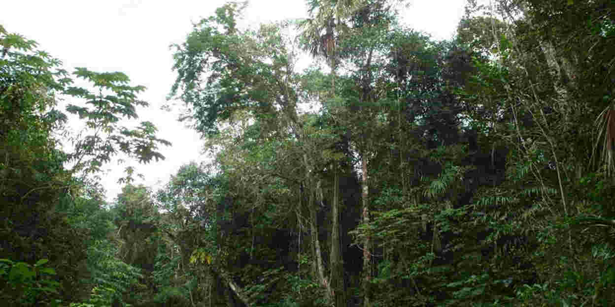 Harder trekken aan betrekkingen in Belize