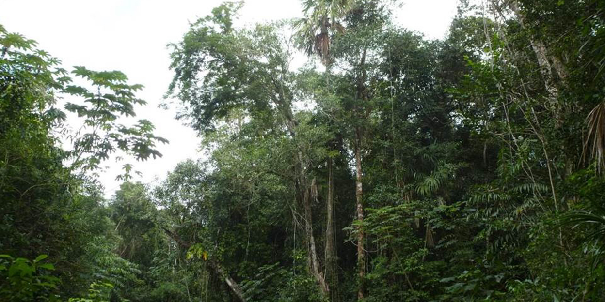 Harder trekken aan betrekkingen in Belize