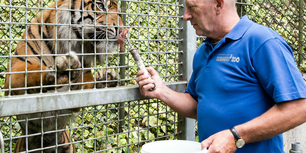Hoe word je een dierenverzorger?