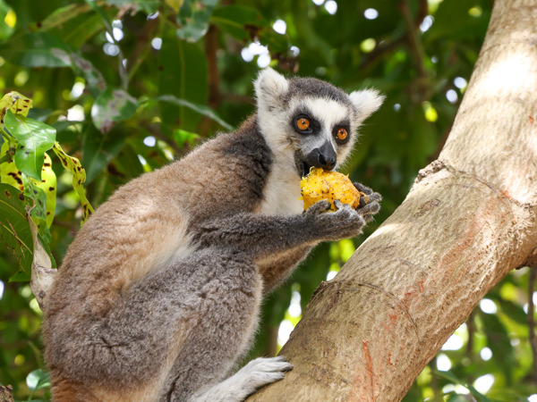 1a6c257e-6d89-4dd8-9fcc-810874e29694