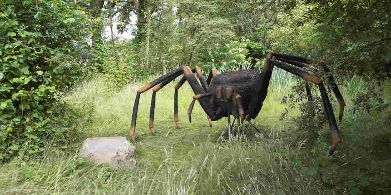 Reusachtige insecten domineren Burgers' Zoo