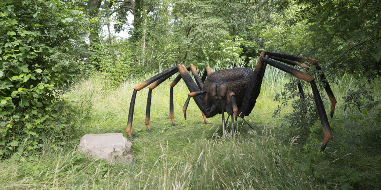 Reusachtige insecten domineren Burgers' Zoo