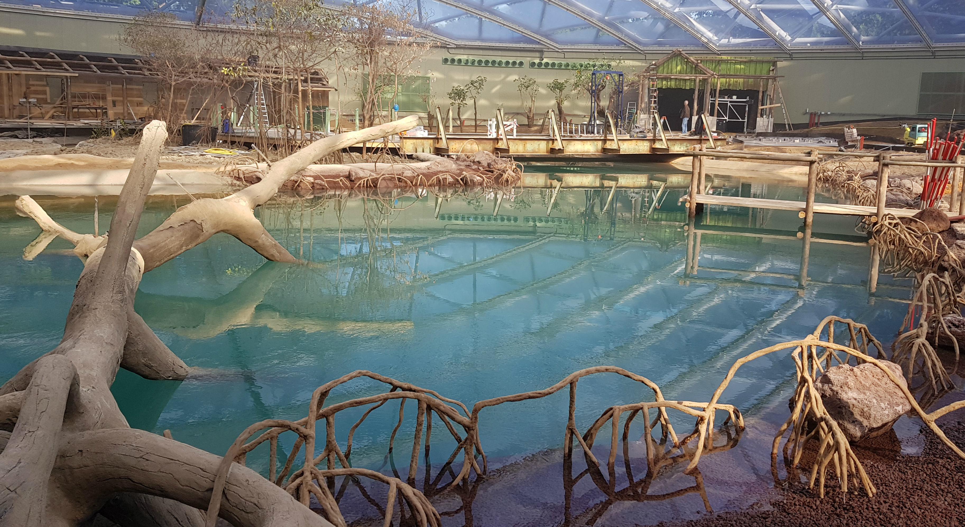 Burgers' Zoo opent 's werelds grootste overdekte mangrove! | Burgers ...