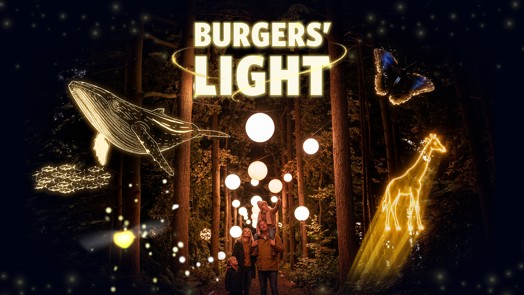 Avontuurlijk vuurvliegje ontsteekt spectaculaire lichtshow in Burgers' Zoo